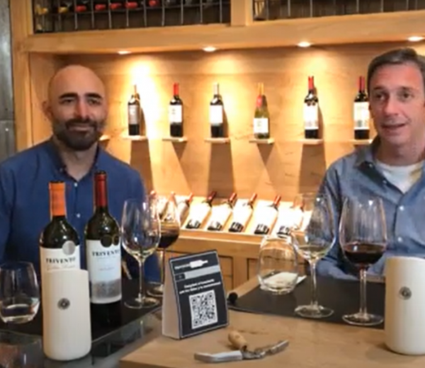 Vinos & Compañía | Bodegas Trivento