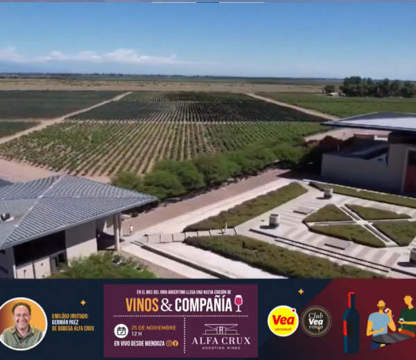 Vinos & Compañia |Bodega Alfa Crux|