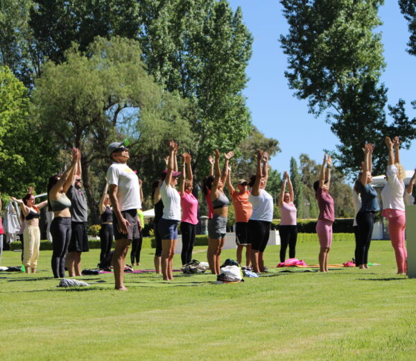 Yoga por los caminos del vino – Bodega Chandon