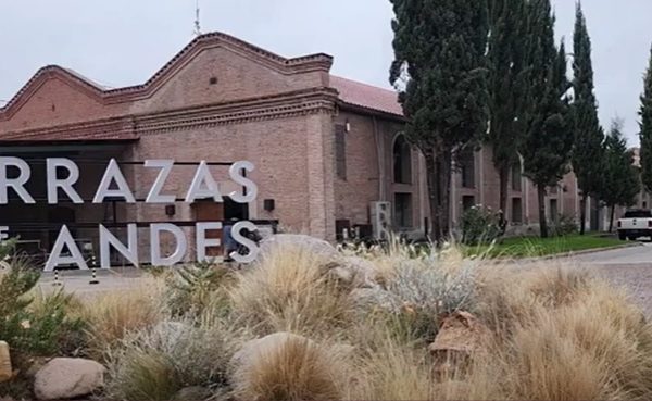 Vinos & Compañia | Bodega Terrazas de los Andes