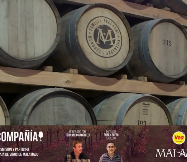 Vinos & Compañia | Bodega Malamado|