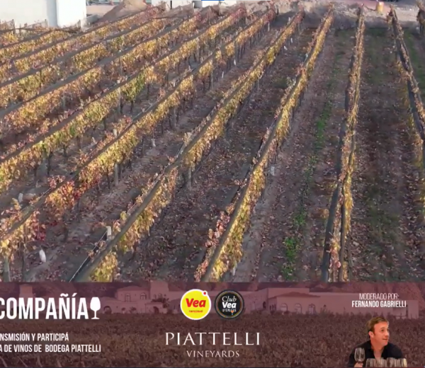 Vinos & Compañia |Bodega Piatelli|
